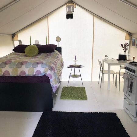 Hotel Vines And Puppies Glamping Hideaway Jade City Esterno foto