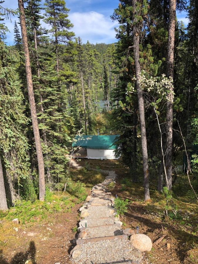 Hotel Vines And Puppies Glamping Hideaway Jade City Esterno foto