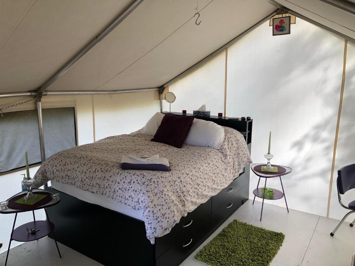 Hotel Vines And Puppies Glamping Hideaway Jade City Esterno foto